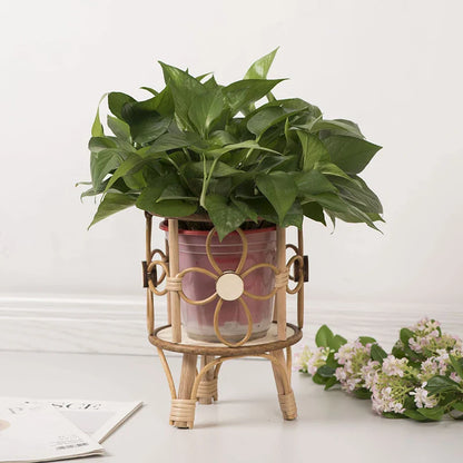 Hollow Rattan Plant Stand - Elevate Your Home Decor!